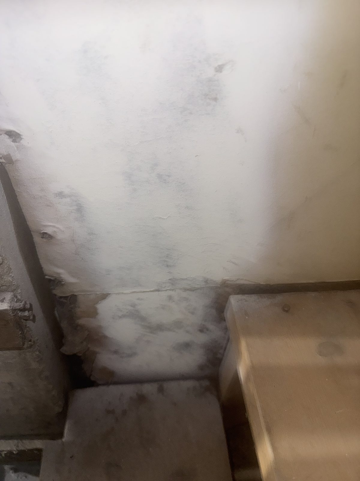 Mold and moisture damage on a basement wall before treatment