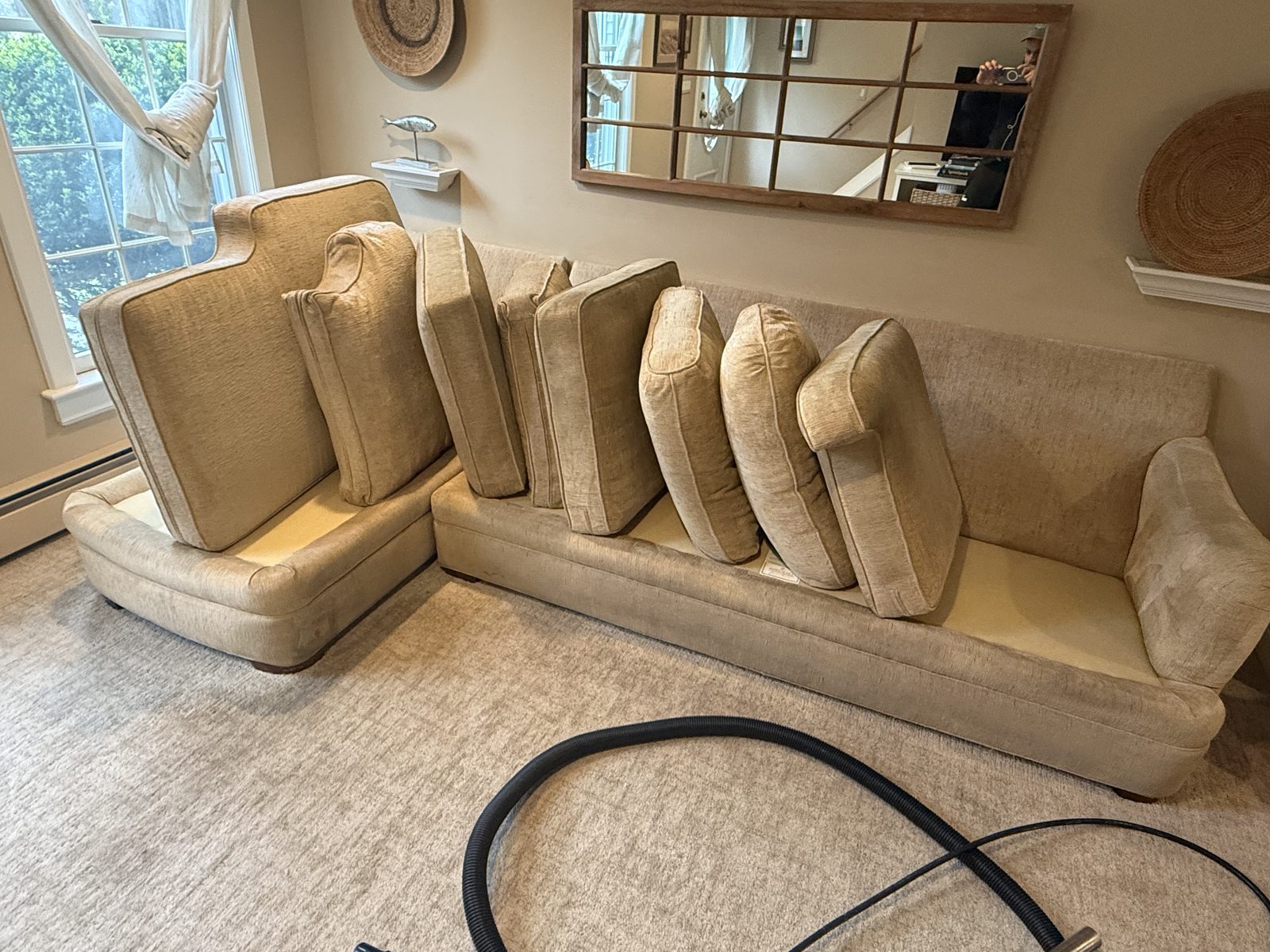Sectional sofa being deep-cleaned with cushions removed
